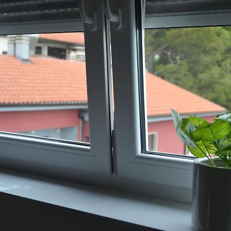 Apartment Babic Rijeka Extérieur photo